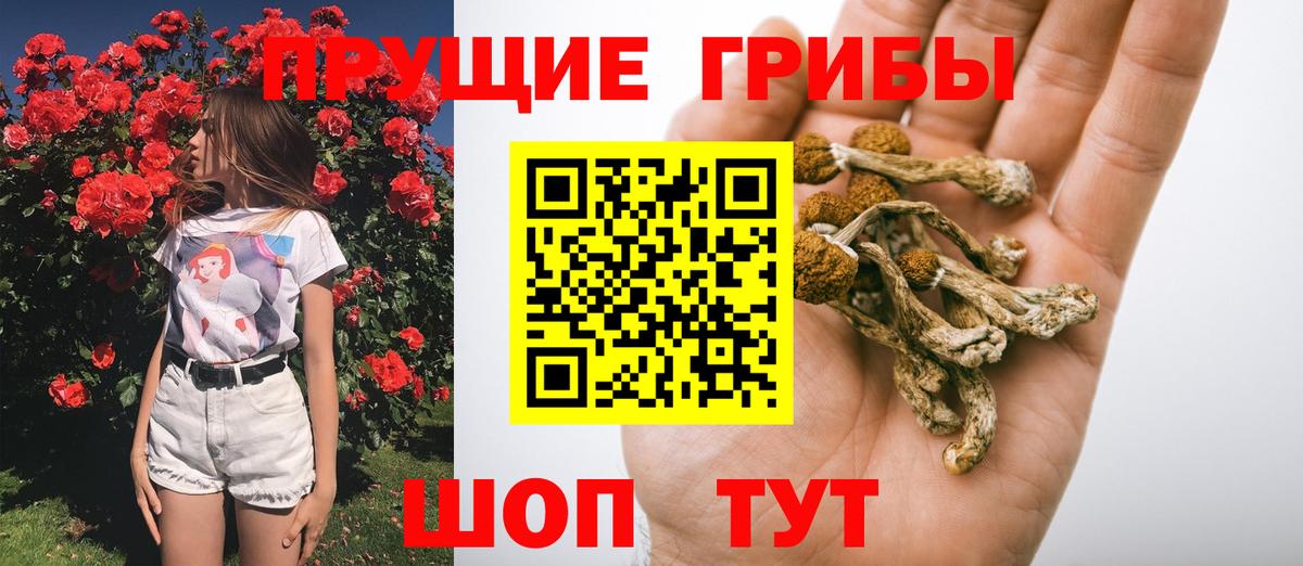 Псилоцибиновые грибы MAGIC MUSHROOMS Саянск